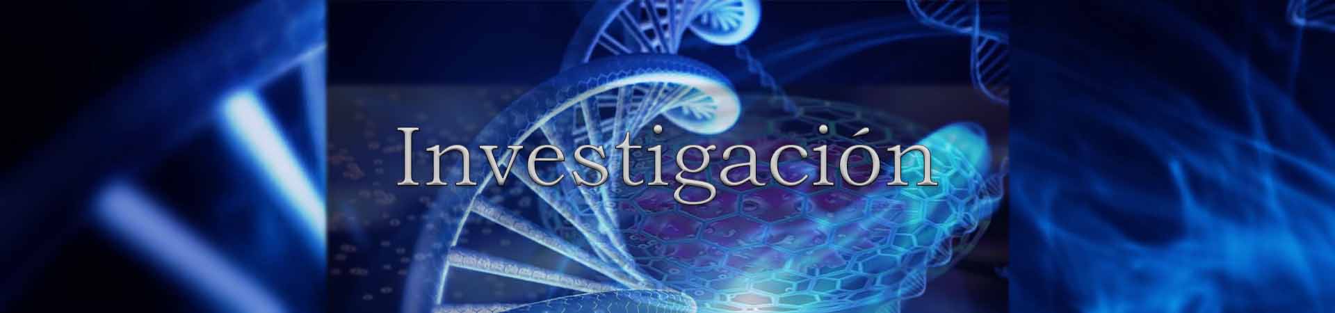 Investigación